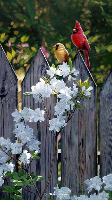 Реальная природа от художника Terry Isaac