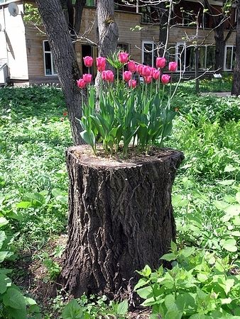 Украшения дач, дизайн, идеи, фото