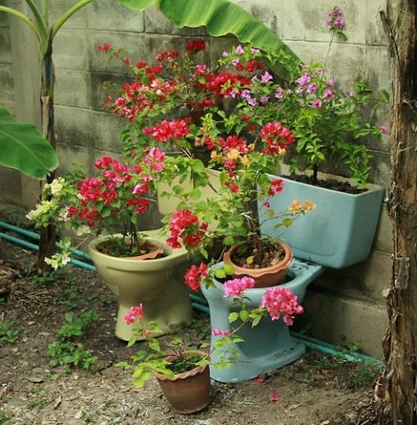 Украшения дач, дизайн, идеи, фото