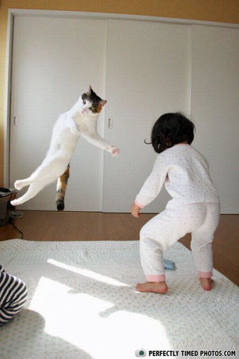 Поймай кадр, в нужный момент