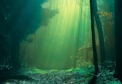 Красивый картинки, фото