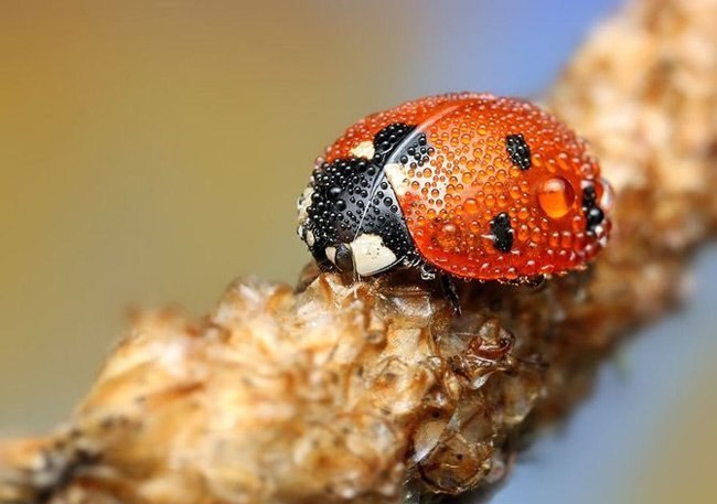 Красивый картинки, фото