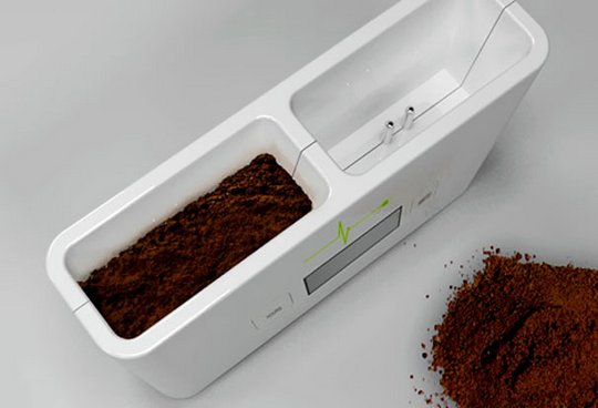 Креативщики вдохновлённые природой. Необычное использование растений для украшения вещей