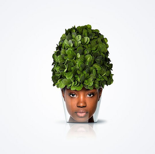 Креативщики вдохновлённые природой. Необычное использование растений для украшения вещей