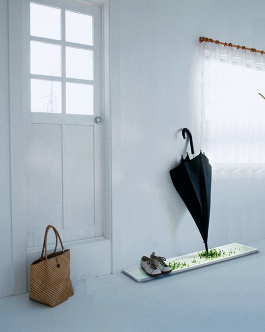 Креативщики вдохновлённые природой. Необычное использование растений для украшения вещей