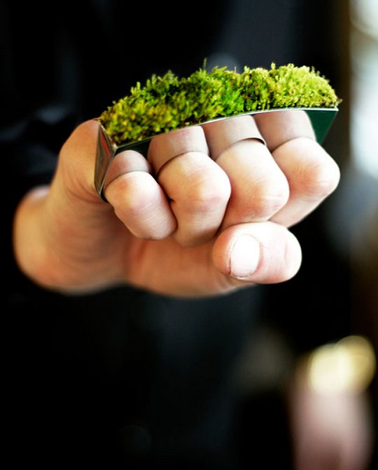 Креативщики вдохновлённые природой. Необычное использование растений для украшения вещей