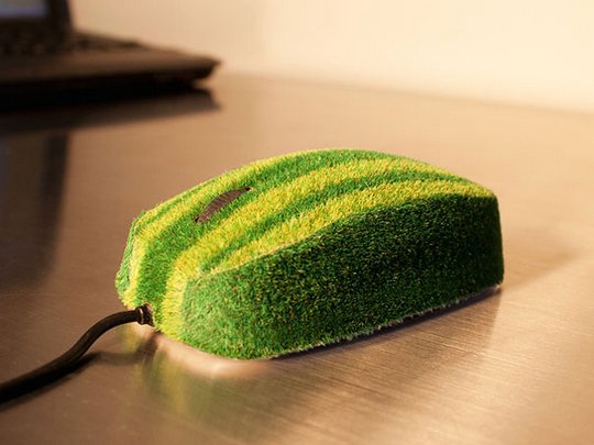 Креативщики вдохновлённые природой. Необычное использование растений для украшения вещей