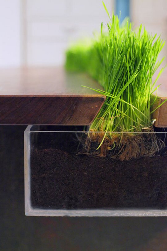 Креативщики вдохновлённые природой. Необычное использование растений для украшения вещей