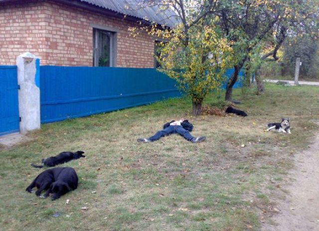 В России, смешные фото, тем временем