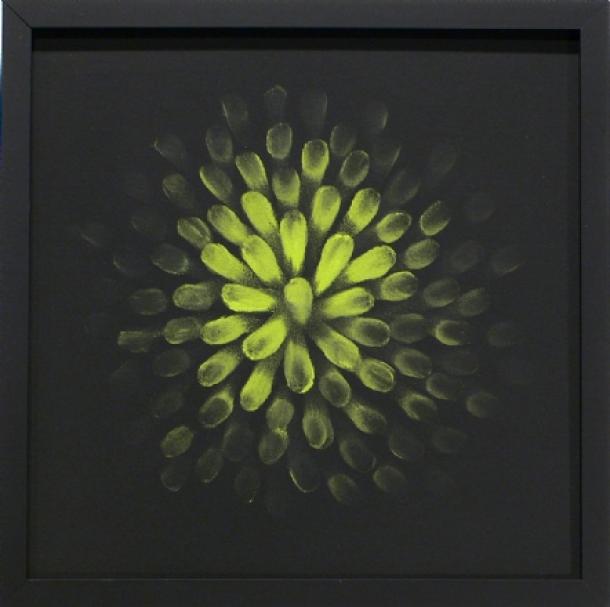 Картины нарисованные отпечатками пальцев от Джудит Браун Картины нарисованные отпечатками пальцев от Джудит Браун