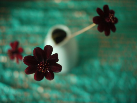 Самые редкие цветы на Земле