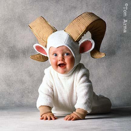 Малыши в забавных костюмах