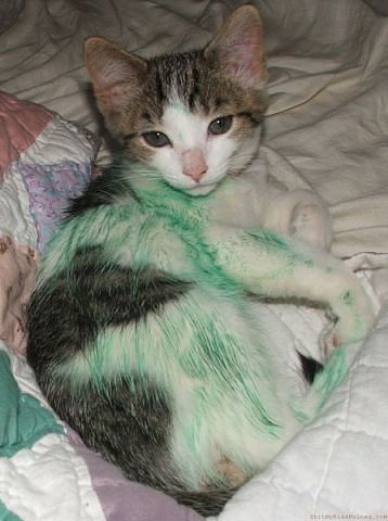 Дети хулиганы, проделки детей