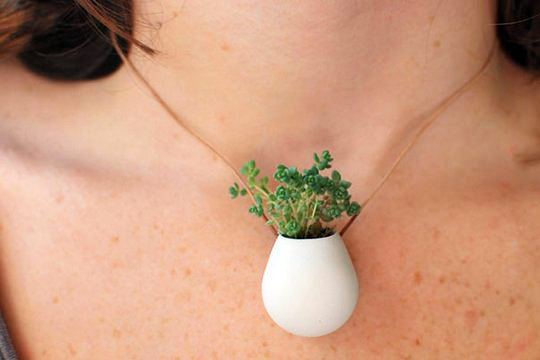 Креативщики вдохновлённые природой. Необычное использование растений для украшения вещей