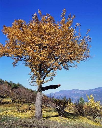 Удивительный фотообман Philippe Ramette