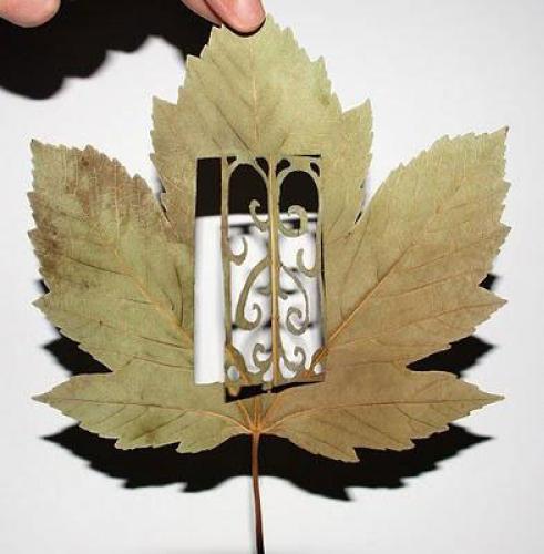 Резьба по листьям от испанского художника Лоренцо Дюрана