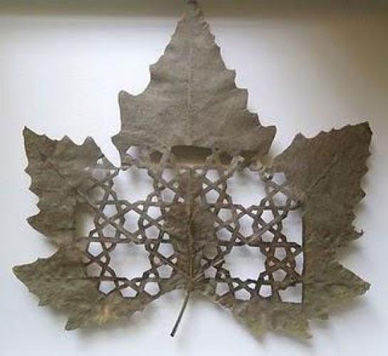 Резьба по листьям от испанского художника Лоренцо Дюрана