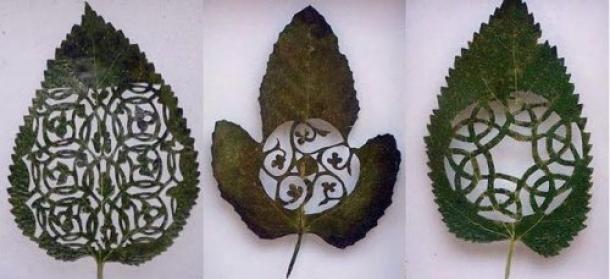 Резьба по листьям от испанского художника Лоренцо Дюрана