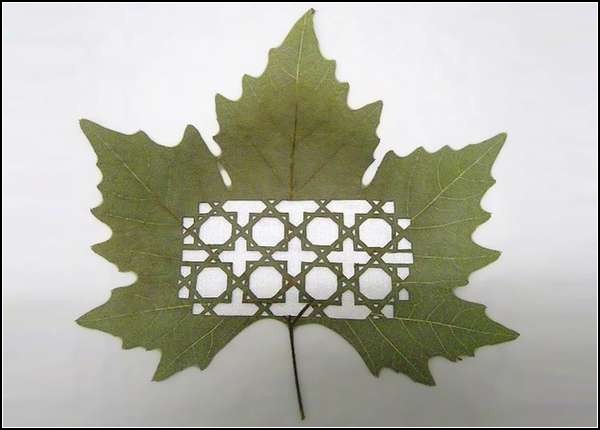 Резьба по листьям от испанского художника Лоренцо Дюрана