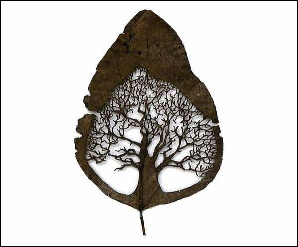 Резьба по листьям от испанского художника Лоренцо Дюрана