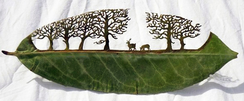 Резьба по листьям от испанского художника Лоренцо Дюрана