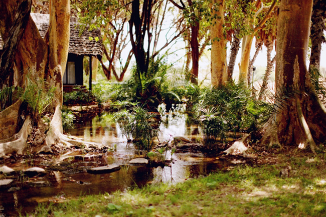 Репортаж из Кении