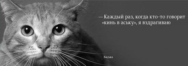  смешные картинки, шутки,приколы