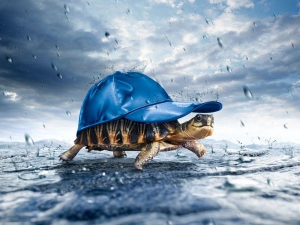  смешные картинки, шутки,приколы