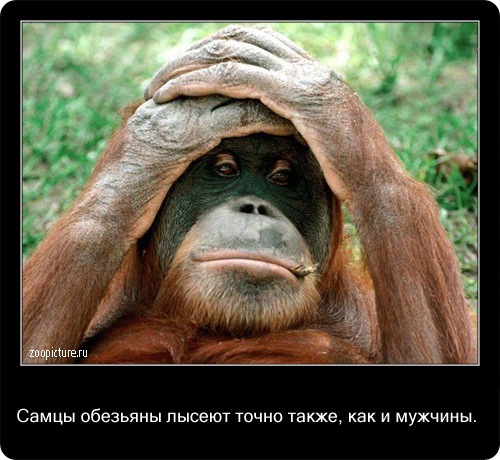 животные факты,интересное,знаете ли вы