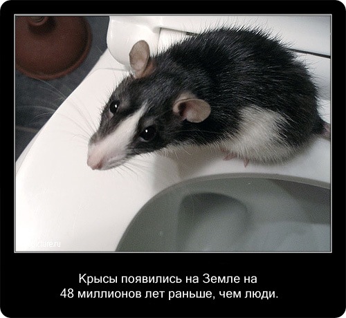 животные факты,интересное,знаете ли вы