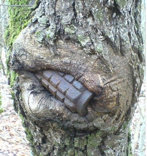 Военные трофеи с полей сражения второй мировой