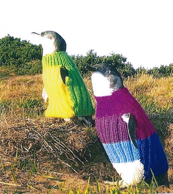 Пингвины в свитерках