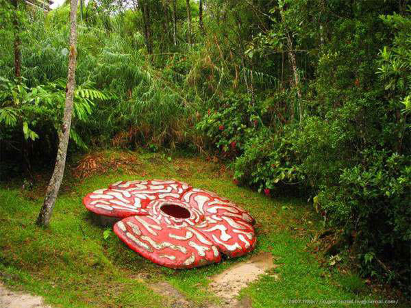 Самые жуткие растения нашей планеты