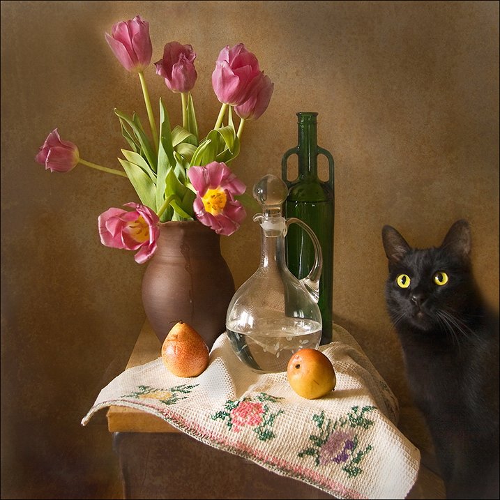 коты, кошки, цветы, натюрморты
