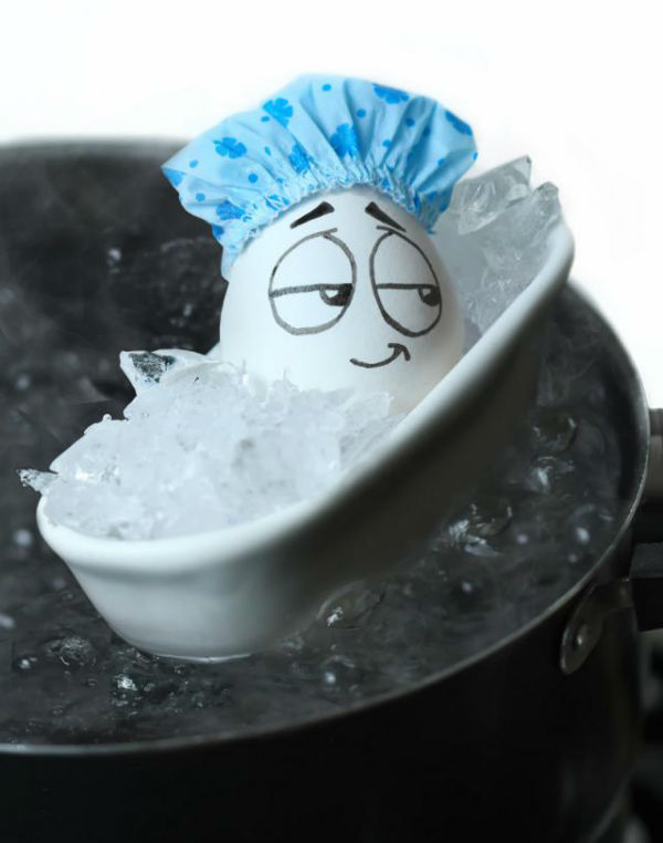 Весёлые сценки из жизни еды