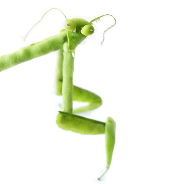 Весёлые сценки из жизни еды