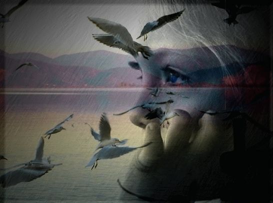 Сожаления умирающих