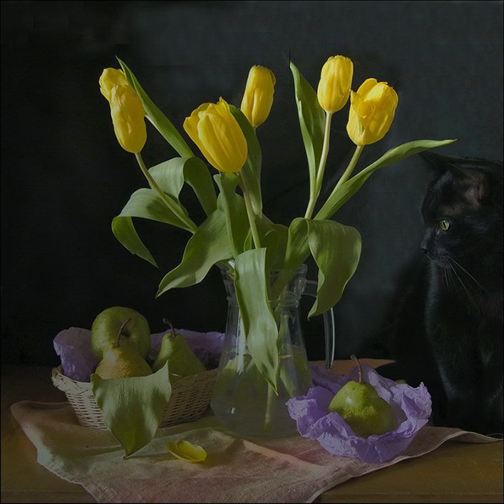 коты, кошки, цветы, натюрморты