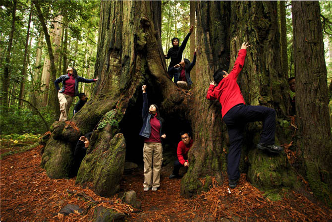 Я, я и снова я, фото 