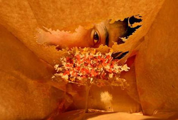 Бумажные деревца от Юкен Теруя