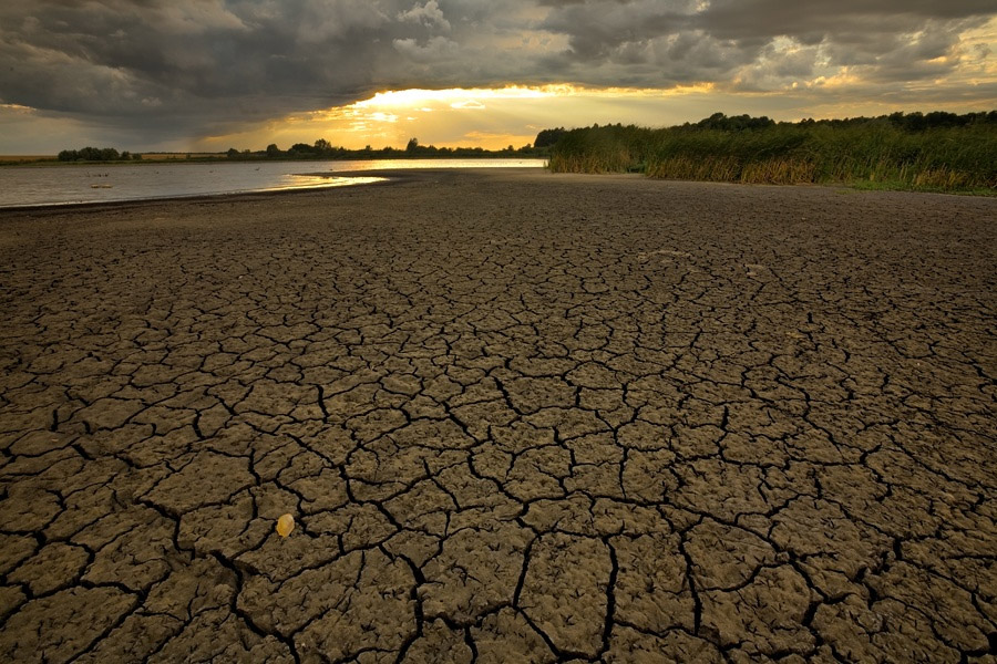 Завораживающее спокойствие от Марека Кедровски