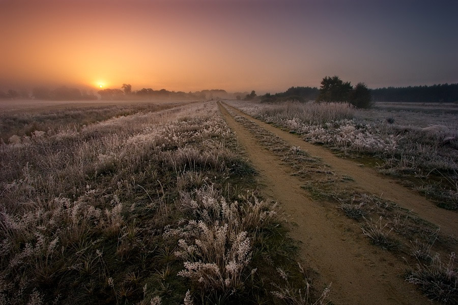 Завораживающее спокойствие от Марека Кедровски