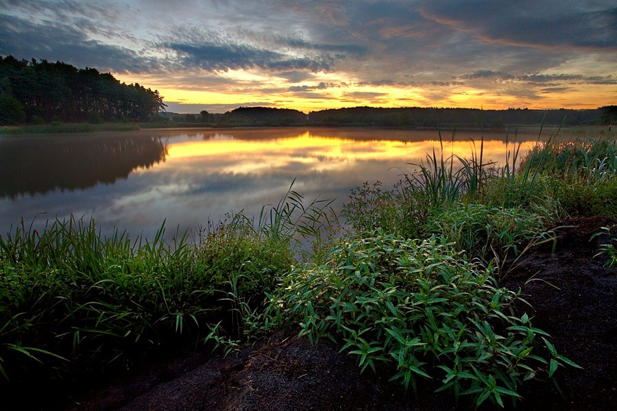 Завораживающее спокойствие от Марека Кедровски