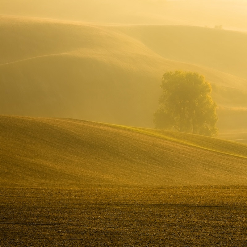 Завораживающее спокойствие от Марека Кедровски