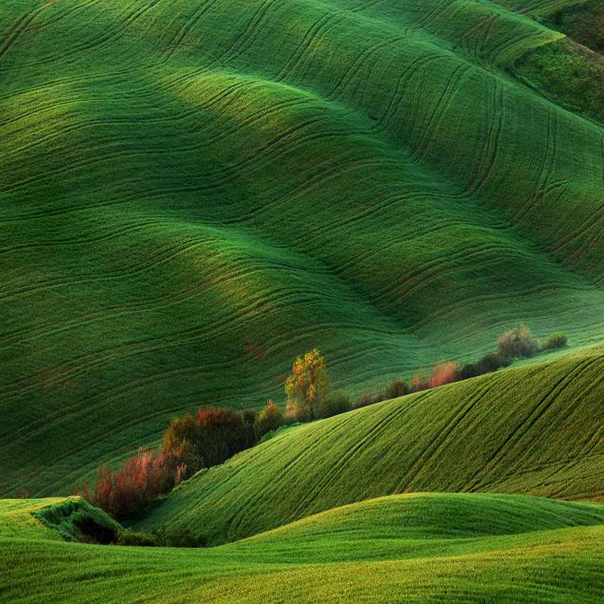 Завораживающее спокойствие от Марека Кедровски