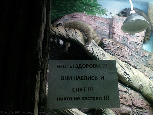 Смешные надписи, шутки