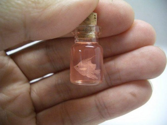 Уникальный проект. Весь мир в маленькой бутылке. Уникальный проект. Весь мир в маленькой бутылке.