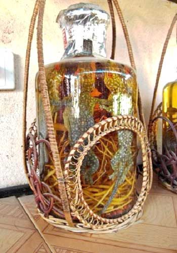 10 самых необычных алкогольных напитков в мире