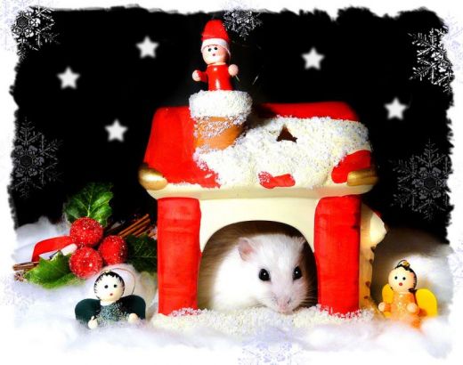 Позитивные картинки, яркое