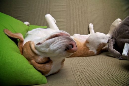 Позитивные картинки, яркое